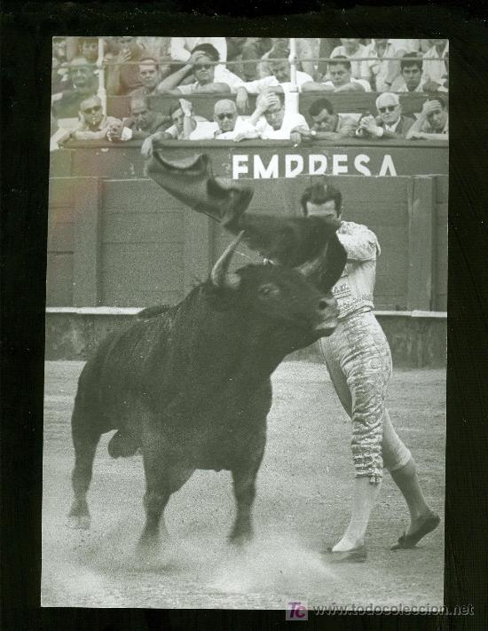 Tauromachie: FOTOGRAFIA DE ANTONIO ORDO&Ntilde;EZ. FOTOGRAFO ARJONA. SEVILLA.