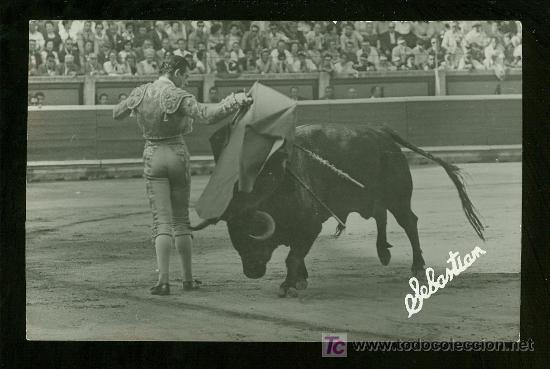 Stierkampf: FOTOGRAFIA DE ANTONIO ORDO&Ntilde;EZ. FOTOGRAFO SEBASTIAN. BARCELONA.