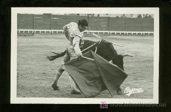 Stierkampf: FOTOGRAFIA DE ANTONIO ORDO&Ntilde;EZ. FOTOGRAFO ARJONA. SEVILLA.