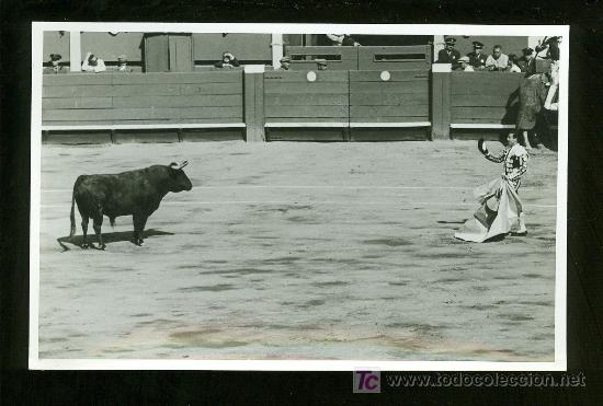Stierkampf: FOTOGRAFIA DE ANTONIO ORDO&Ntilde;EZ.