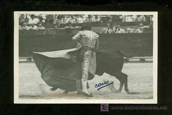 Stierkampf: FOTOGRAFIA DE ANTONIO ORDO&Ntilde;EZ. FOTOGRAFO CANO. MADRID.