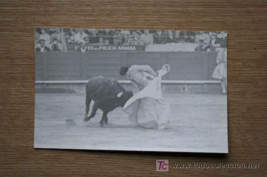 Fotograf&iacute;a. Julio Aparicio.