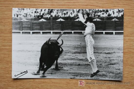 Tauromaquia: Postal. Luis Miguel (Domingu&iacute;n) en su estilo.