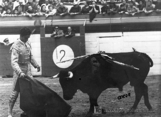 Bullfighting: FOTOGRAFIA ORIGINAL DE JOSE CERD&Aacute; AL TORERO JOSE DEL PUERTO.