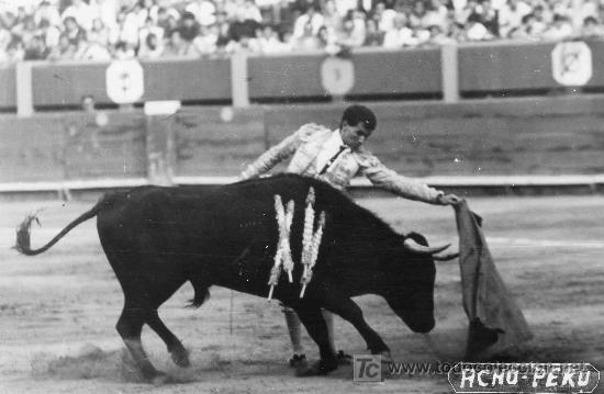 Bullfighting: FOTOGRAFIA ORIGINAL DEL TORERO EL PUNO EN LA PLAZA DE TOROS DE ACHO, PERU.