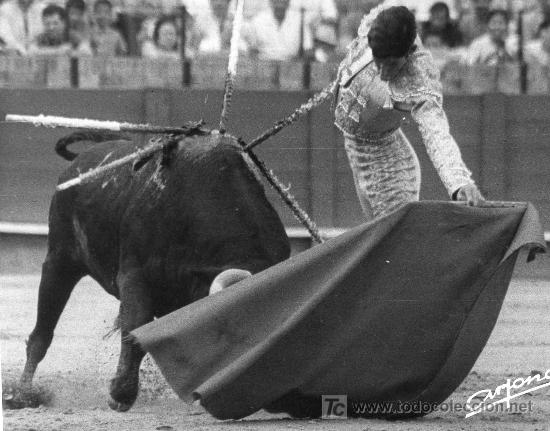 Bullfighting: FOTOGRAFIA ORIGINAL DE ARJONA AL TORERO EL PUNO. PLAZA DE TOROS DE SEVILLA.