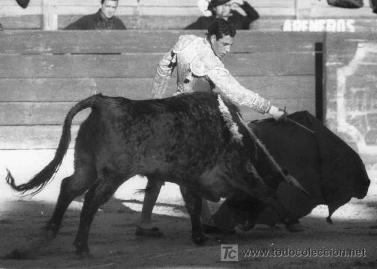 Bullfighting: FOTOGRAFIA ORIGINAL DEL TORERO VICENTE PUNZON. PLAZA DE TOROS DE CASTELLON.