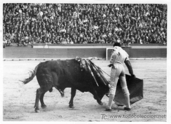 Bullfighting: FOTOGRAFIA ORIGINAL DE MONTES CAIRO AL TORERO VICENTE PUNZON. PLAZA DE TOROS DE VALENCIA