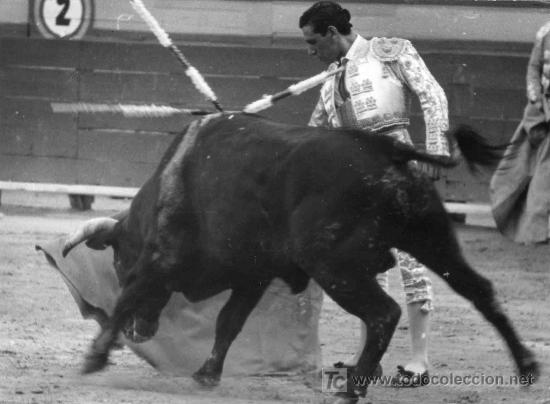 Bullfighting: FOTOGRAFIA ORIGINAL DEL TORERO VICENTE PUNZON. PLAZA DE TOROS DE VALENCIA.