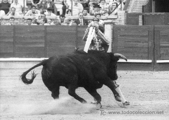 Bullfighting: FOTOGRAFIA ORIGINAL DE ARJONA AL TORERO EL SORO PONIENDO BANDERILLAS. PLAZA DE TOROS DE CORDOBA.