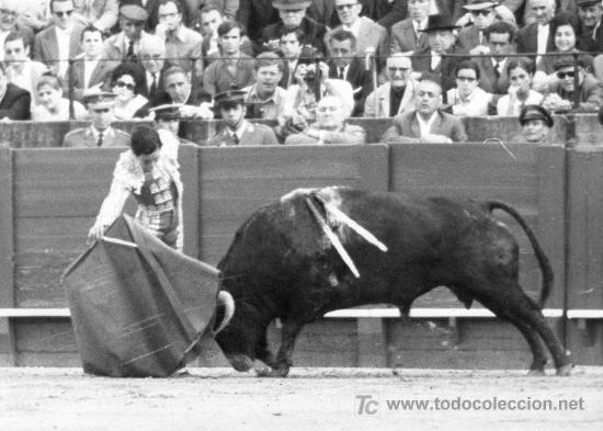 Bullfighting: FOTOGRAFIA ORIGINAL DEL TORERO RAFAEL TORRES. PLAZA DE TOROS DE SEVILLA.