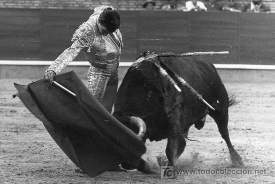 Bullfighting: FOTOGRAFIA ORIGINAL DEL TORERO ANGEL TERUEL. PLAZA DE TOROS DE CORDOBA.