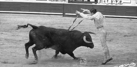 Stierkampf: FOTOGRAFIA ORIGINAL DE ARJONA AL TORERO ANGEL TERUEL. PLAZA DE TOROS DE LOGRO&Ntilde;O.