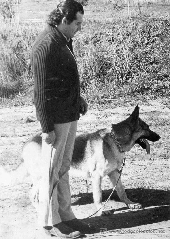 Bullfighting: FOTOGRAFIA ORIGINAL DEL TORERO PEPE LUIS SEGURA EN SU PARCELA DE CRIADOR DE PERROS.