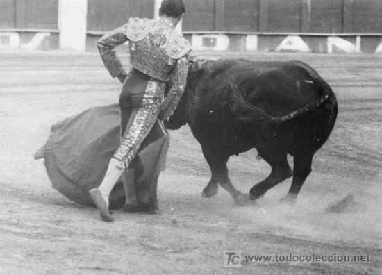 Stierkampf: FOTOGRAFIA ORIGINAL DEL TORERO MANOLO SEGURA. PLAZA DE TOROS DE MALAGA.
