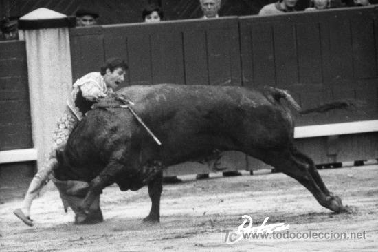 Stierkampf: FOTOGRAFIA ORIGINAL DE BOTAN AL TORERO ANGEL TERUEL. PLAZA DE TOROS DE MADRID.