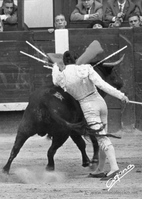 Stierkampf: FOTOGRAFIA ORIGINAL DE ARJONA AL TORERO ANGEL TERUEL. PLAZA DE TOROS DE MADRID.
