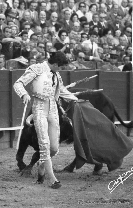 Stierkampf: FOTOGRAFIA ORIGINAL DE ARJONA AL TORERO ANGEL TERUEL. PLAZA DE TOROS DE SEVILLA.