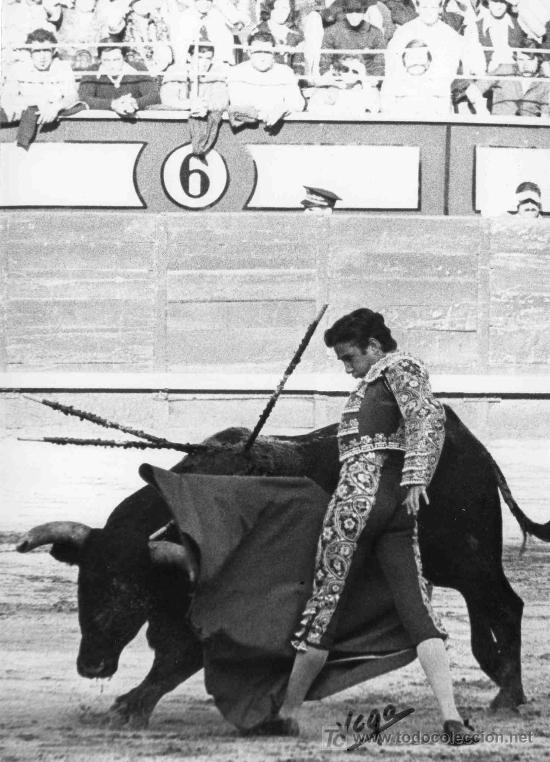 Stierkampf: FOTOGRAFIA ORIGINAL DE VEGA AL TORERO ANGEL TERUEL. PLAZA DE TOROS DE MADRID.