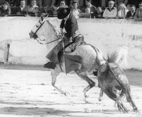 Stierkampf: FOTOGRAFIA ORIGINAL DE BERET AL REJONEADOR ANTONIO IGNACIO VARGAS. PLAZA DE TOROS DE UTRERA.