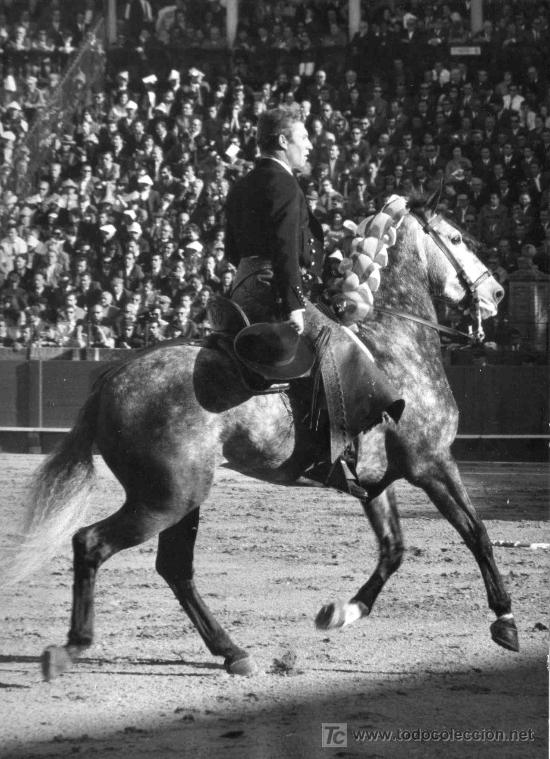 Stierkampf: FOTOGRAFIA ORIGINAL DE ARJONA AL REJONEADOR ANTONIO IGNACIO VARGAS. PLAZA DE TOROS DE SEVILLA.