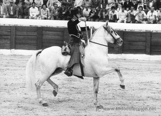 Stierkampf: FOTOGRAFIA ORIGINAL DE ARJONA AL REJONEADOR ANTONIO I. VARGAS PLAZA DE TOROS DE ALCALA DE GUADAIRA.