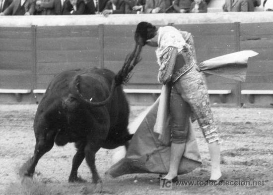 Stierkampf: FOTOGRAFIA ORIGINAL AL TORERO PEPE LUIS SEGURA .PLAZA DE TOROS DE ALCALA DE GUADAIRA.