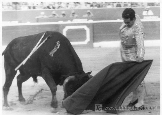 Stierkampf: FOTOGRAFIA ORIGINAL AL TORERO DIEGO PUERTA TOREANDO DE MULETA.
