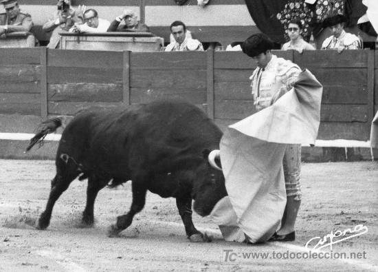 Stierkampf: FOTOGRAFIA ORIGINAL DE ARJONA AL TORERO DIEGO PUERTA. PLAZA DE TOROS DE GRANADA.