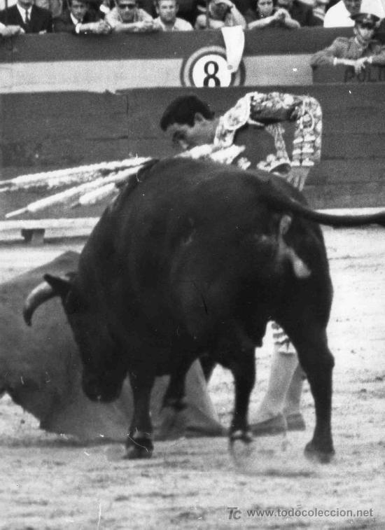 Stierkampf: FOTOGRAFIA ORIGINAL DE JOSE CERD&Aacute; AL TORERO DIEGO PUERTA EN LA PLAZA DE TOROS DE CASTELL&Oacute;N
