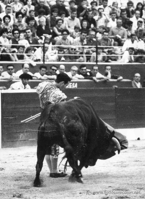 Stierkampf: FOTOGRAFIA ORIGINAL DE JOSE CERD&Aacute; AL TORERO DIEGO PUERTA EN LA PLAZA DE TOROS DE BENIDORM.