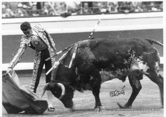 Stierkampf: FOTOGRAFIA ORIGINAL DE JOS&Eacute; CRED&Aacute; AL TORERO JOSE MANUEL INSAUSTI, TININ.