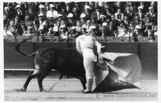 Stierkampf: FOTOGRAFIA ORIGINAL AL TORERO DIEGO PUERTA. PLAZA DE TOROS DE SEVILLA.