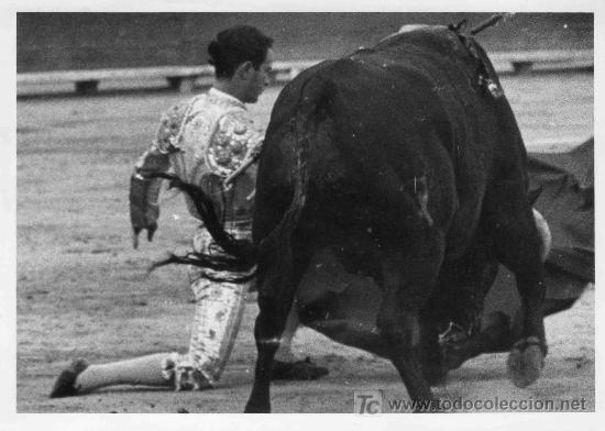 Stierkampf: FOTOGRAFIA ORIGINAL DE JOSE CERDA AL TORERO DIEGO PUERTA. PLAZA DE TOROS DE CASTELLON.