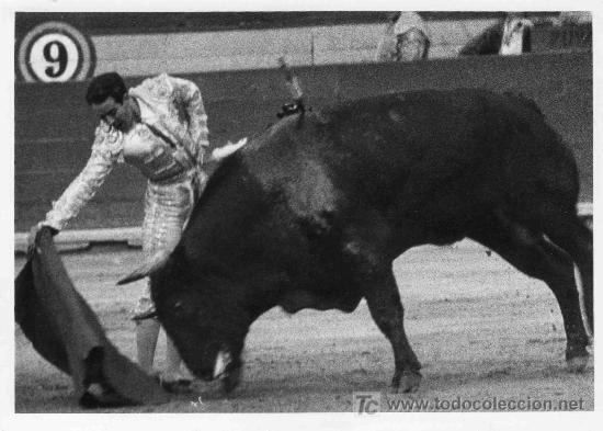 Stierkampf: FOTOGRAFIA ORIGINAL DE JOSE CERD&Aacute; AL TORERO DIEGO PUERTA. PLAZA DE TOROS DE VALENCIA.