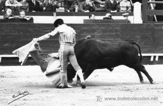 Stierkampf: FOTOGRAFIA ORIGINAL DE CUEVAS AL TORERO DIEGO PUERTA. PLAZA DE TOROS DE CASTELLON.