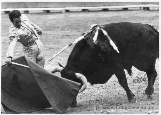 Stierkampf: FOTOGRAFIA ORIGINAL DE JOSE CERD&Aacute; AL TORERO DIEGO PUERTA. PLAZA DE TOROS DE SEVILLA