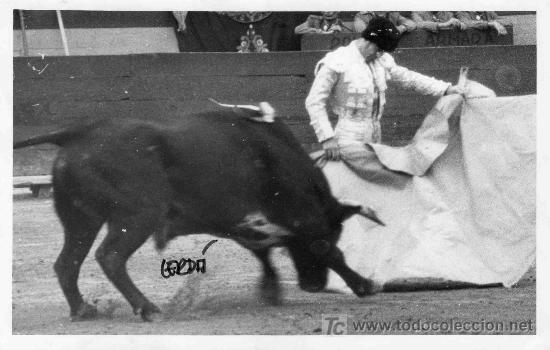 Stierkampf: FOTOGRAFIA ORIGINAL DE JOSE CERD&Aacute; AL TORERO DIEGO PUERTA TOREANDO DE CAPOTE.