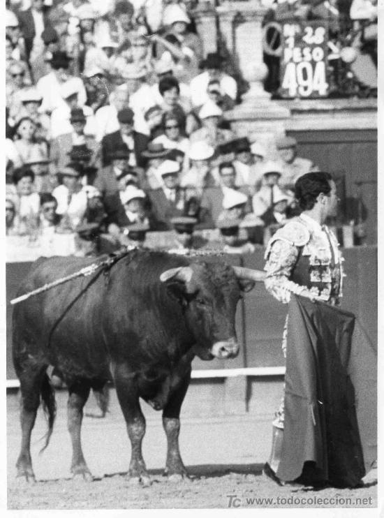 Stierkampf: FOTOGRAFIA ORIGINAL AL TORERO DIEGO PUERTA. PLAZA DE TOROS DE SEVILLA.