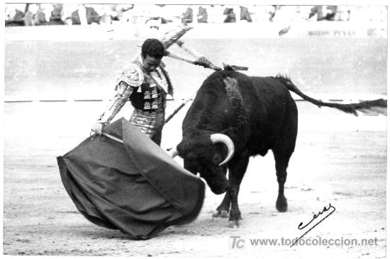 Stierkampf: FOTOGRAFIA ORIGINAL DE CUEVAS AL TORERO DIEGO PUERTA. PLAZA DE TOROS DE VALENCIA.