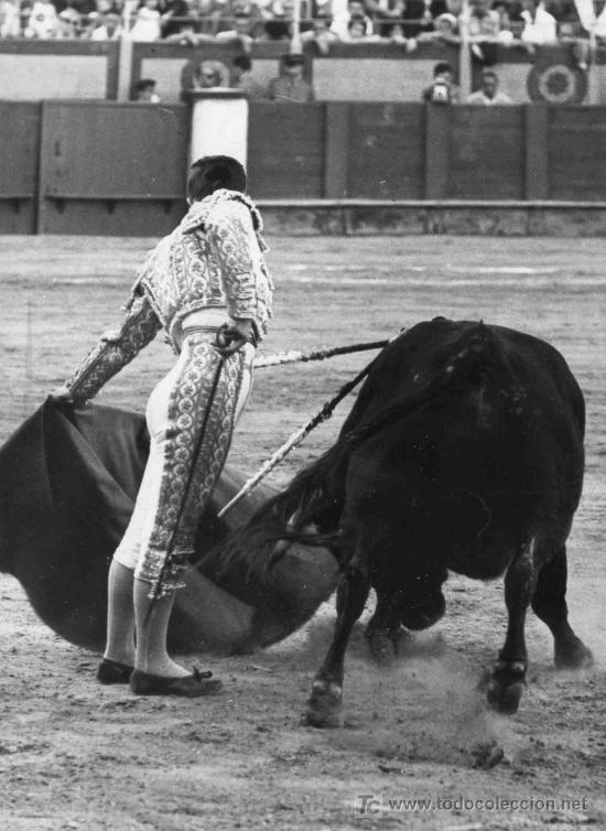 Stierkampf: FOTOGRAFIA ORIGINAL DE ARJONA AL TORERO DIEGO PUERTA. PLAZA DE TOROS DE MALAGA.