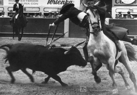 Tauromaquia: FOTOGRAFIA ORIGINAL AL REJONEADOR RAFAEL PERALTA. PLAZA DE TOROS DE MEDELLIN, COLOMBIA.