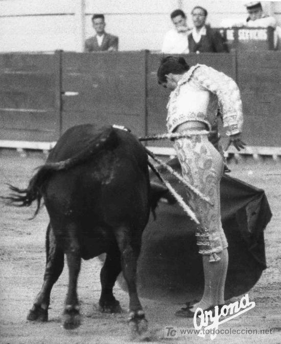 Tauromachie: FOTOGRAFIA ORIGINAL DE ARJONA AL TORERO MANUEL CANO, EL PIREO. PLAZA DE TOROS DEL PUERTO STA.M&ordf;. .