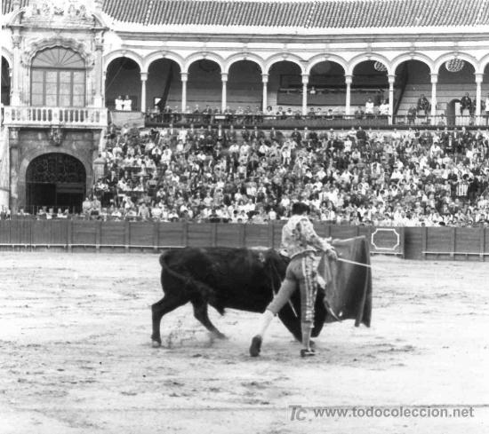 Tauromachie: FOTOGRAFIA ORIGINAL DE ARJONA A JOSE MARIA SUSONI. PLAZA DE TOROS DE SEVILLA.