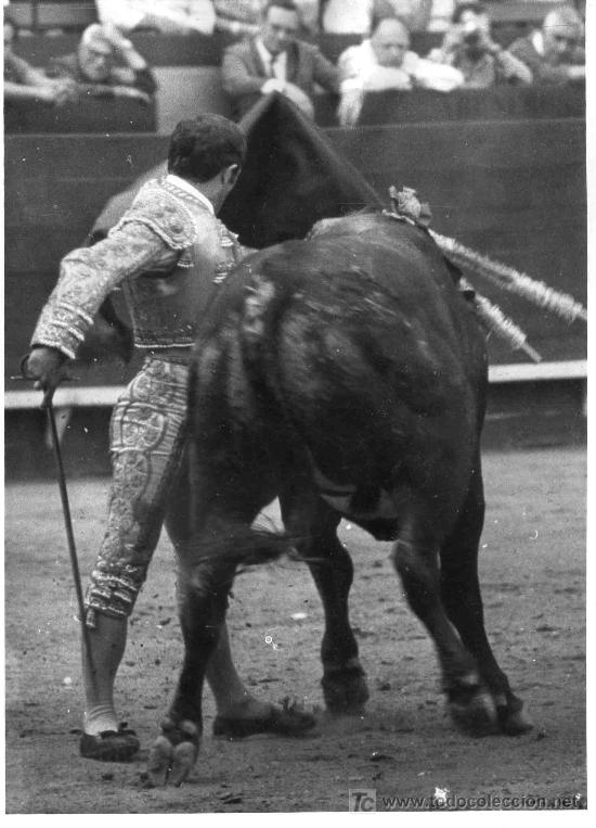 Tauromachie: FOTOGRAFIA ORIGINAL  AL TORERO ANDRES VAZQUEZ. PLAZA DE TOROS DE MADRID.