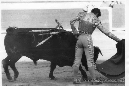 Tauromachie: FOTOGRAFIA ORIGINAL AL TORERO ANDRES VAZQUEZ. PLAZA DE TOROS DE ALBACETE.