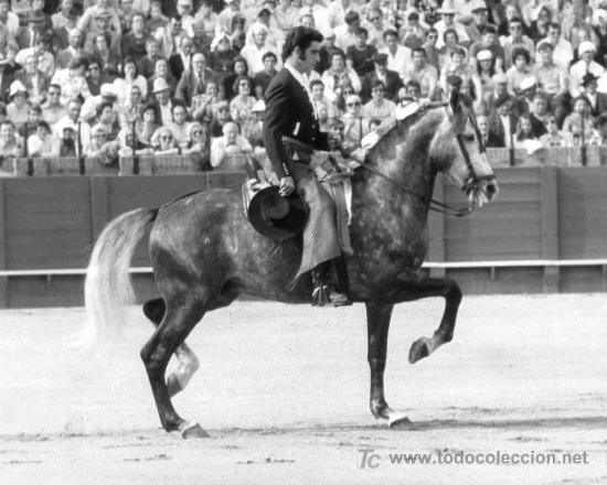 Tauromaquia: FOTOGRAFIA ORIGINAL DE ARJONA AL DIESTRO MANUEL VIDRIE. PLAZA DE TOROS DE SEVILLA.