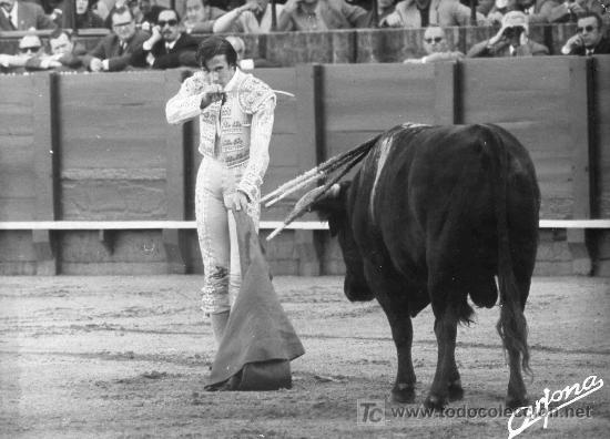 Tauromaquia: FOTOGRAFIA ORIGINAL DE ARJONA AL DIESTRO ANGEL TERUEL. PLAZA DE TOROS DE SEVILLA.