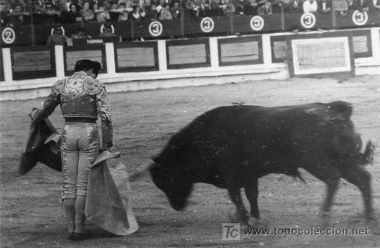 Bullfighting: FOTOGRAFIA ORIGINAL DE B. V CARAND AL DIESTRO OSCAR ROSMANO. PLAZA DE TOROS DE CACERES.