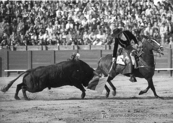 Tauromachia: FOTOGRAFIA ORIGINAL DE LENDINEZ AL REJONEADOR A. IGNACIO VARGAS. PLAZA DE TOROS DE SEVILLA.